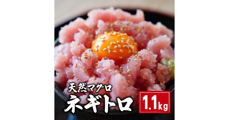 【ふるさと納税】 天然マグロ ネギトロ 1.1kg 10,000円 まぐろ 鮪 刺身 赤身 肉 ビンチョウマグロ ビンチョウ メバチマグロ 鉢マグロ メバチ キハダマグロ キハダ ネギトロ ネギトロ丼 マグロ漬け 海鮮丼 寿司 鉄火丼 手巻き寿司 魚 海鮮 魚介 国産 千葉県 銚子市 和田水産