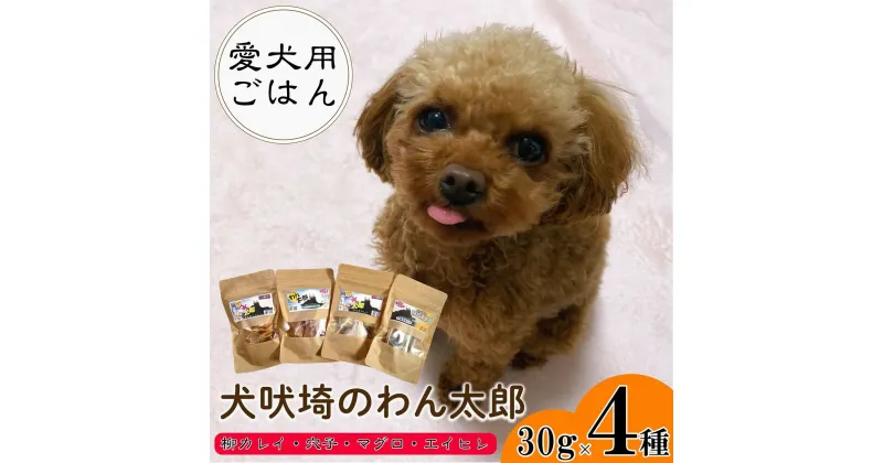 【ふるさと納税】 ドッグフード 4種セット (30g×4) 犬吠埼のわん太郎 柳カレイ 穴子 あなご マグロ 鮪 エイヒレ 健康食 ダイエット ペットフード おやつ 愛犬用 愛犬用ごはん 大型犬 中型犬 小型犬 シニア 老犬 犬 ペット 送料無料 千葉県 銚子市 本宮商店