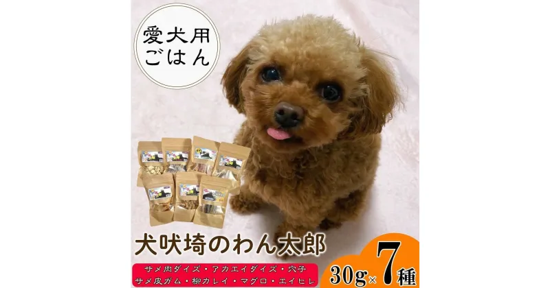 【ふるさと納税】 ドッグフード 7種セット (30g×7) 犬吠埼のわん太郎 サメ肉ダイズ アカエイダイズ サメ皮ガム 柳カレイ 穴子 マグロ エイヒレ 健康食 ダイエット ペットフード おやつ 愛犬用 愛犬用ごはん シニア 老犬 犬 ペット 送料無料 千葉県 銚子市 本宮商店