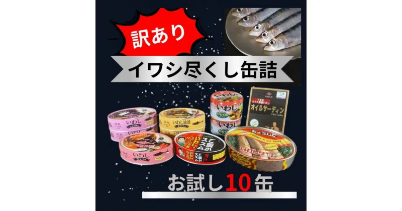 【ふるさと納税】 訳あり 缶詰 7種 イワシ尽くし お試しセット ( 10缶 ） 缶詰 いわし 詰め合わせ おすすめ セレクト 人気 おつまみ 美味しい 国産 国内産 醤油 明太子 キムチ しょうゆ 醤油 アレンジ 非常食 保存食 常備 災害 備蓄品 和風 千葉県 銚子市