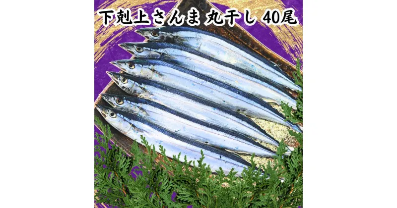 【ふるさと納税】 さんま 下剋上さんま 丸干 40尾 国産 さんま 冷凍 サンマ 秋刀魚 正規品 無添加 大容量 国産 丸干し 旬 季節の味覚 銚子 海の幸 海鮮 干物 新鮮 贈り物 グルメ おかず おつまみ ビール 日本酒 お取り寄せ 千葉県 銚子市 ヤマニンベン