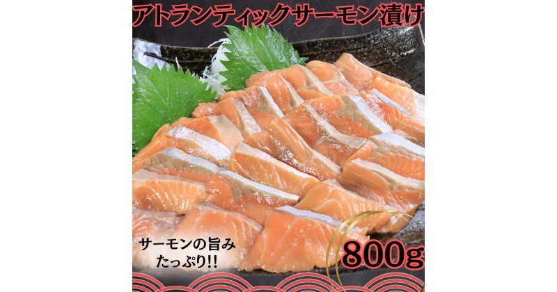 【ふるさと納税】 サーモン アトランティックサーモン漬け 刺身用 800g(200g×4) 昆布醤油漬け サーモン 鮭 しゃけ さけ 刺身 魚 海鮮 魚介類 海鮮丼 漬け丼 漬け サーモン漬け 人気 贅沢 おつまみ お取り寄せ 贈り物 グルメ 小分け 冷凍 送料無料 千葉県 銚子市 シバショウ