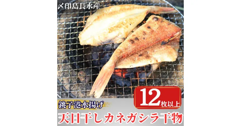 【ふるさと納税】 天日干し カネガシラ 干物 4パック 1パック3~5枚入 計12枚以上 10000円 カナガシラ 小分け 個包装 白身魚 高級魚 冷凍 無添加 新鮮 真空 魚介類 海鮮 焼魚 朝食 夕食 おつまみ 日本酒 ビール 酒の肴 グルメ お取り寄せ 贈り物 銚子港 銚子市 〆印島長水産