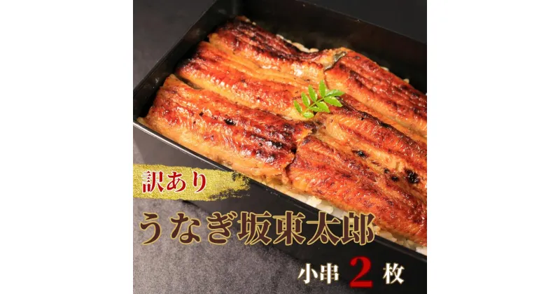 【ふるさと納税】 訳あり うなぎ蒲焼 小串2枚 （約90g×2） 鰻 国産 坂東太郎 蒲焼 国産うなぎ セット 不揃い グルメ お取り寄せ 冷凍 ひつまぶし うな重 うな丼 規格外 小分け 個包装 真空 土用の丑の日 丑の日 送料無料 ギフト 贈り物 贈答 簡単調理 千葉県 銚子市 忠平