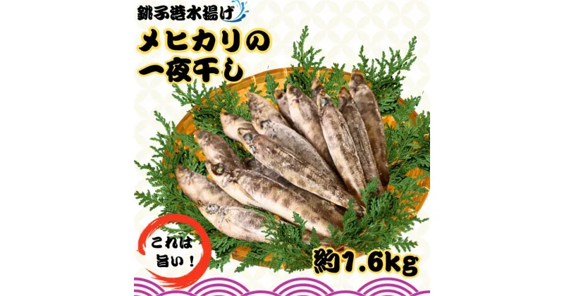 【ふるさと納税】 メヒカリ一夜干し 60尾 約1.6kg 銚子港水揚げ 冷凍 めひかり 目光 バラ凍結 無添加 干物 白身魚 焼魚 名物 一夜干し ひもの 魚 魚介類 天ぷら 唐揚げ 海鮮 新鮮 グルメ お取り寄せ 贈り物 人気 おかず おつまみ 酒の肴 朝食 夕食 千葉県 銚子市 シバショウ