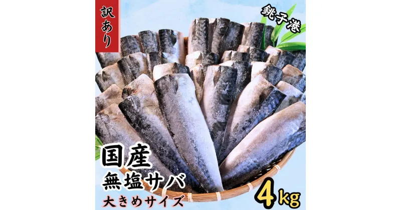 【ふるさと納税】 訳あり 国産 無塩さば フィーレ 4kg 大サイズ 1枚170g さば 鯖 魚 海鮮 魚介類 シーフード フィレ 切身 無塩 不揃い 規格外 傷 冷凍 食品 小分け おかず 惣菜 おつまみ 弁当 人気 グルメ ふるさと納税 送料無料 千葉県 銚子市 大國屋