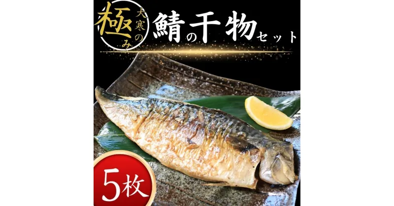 【ふるさと納税】 大寒の極み サバ干物 5枚 1枚約200g 特大サイズ 鯖 さば サバ ノルウェー産 パウチ 冷凍 真空パック 個包装 魚 海鮮 魚介類 シーフード 干物 ひもの 高級 お取り寄せ お試し 長期保存 贈答 贈物 贈り物 ギフト プレゼント 送料無料 千葉県 銚子市 武内商店