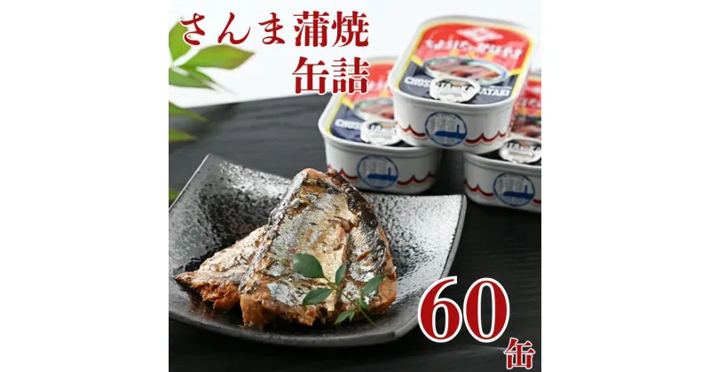 【ふるさと納税】 さんま蒲焼 缶詰 60缶 秋刀魚 サンマ 蒲焼 1缶100g 元祖 魚 海産物 魚缶詰 備蓄品 保存食 大容量 缶切り不要 簡単缶詰 長期保存 常温保存 缶詰 備蓄缶詰 非常食 ローリングストック アレンジレシピ 送料無料 銚子ブランド推奨品 千葉県 銚子市 田原缶詰