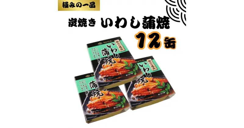 【ふるさと納税】 いわし蒲焼 缶詰 12缶 極みの逸品 いわし かば焼き 蒲焼 魚 国産 缶詰 缶 海産物 魚缶詰 備蓄品 保存食 簡単缶詰 長期保存 常温保存 缶詰 備蓄缶詰 防災 非常食 ローリングストック キャンプ アウトドア 大容量 送料無料 千葉県 銚子市 田原缶詰