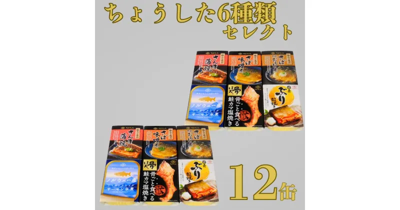 【ふるさと納税】 缶詰 6種 12缶セット ちょうしたセレクト さんま蒲焼 さば味噌煮 さば大根おろし煮 鮭カマ焼き サーモン水煮 ぶり照焼き 魚 国産 缶 海産物 魚缶詰 常温保存 缶詰 備蓄缶詰 防災 非常食 キャンプ アウトドア 送料無料 千葉県 銚子市 田原缶詰