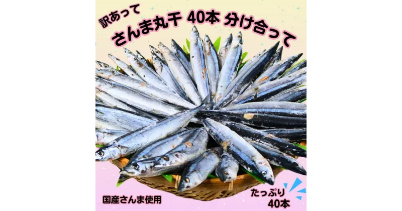 【ふるさと納税】 さんま サンマ 秋刀魚 40尾 訳あって さんま丸干 40本 分け合って 訳あり さんま 丸干し 冷凍 さんま 無添加 国産 北海道産 さんま 国内加工 海の幸 海鮮 干物 冷凍 新鮮 贈り物 人気 お取り寄せ おすそ分け グルメ おつまみ 千葉県 銚子市 ヤマニンベン