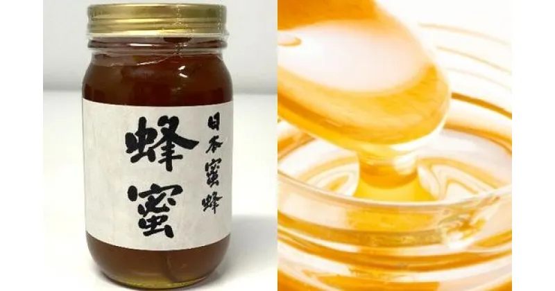 【ふるさと納税】日本蜜蜂　はちみつ　300g【12203-0079】