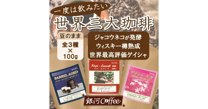 【ふるさと納税】生涯で飲みたい 世界3大珈琲(豆のまま)100g×3種 銀河コーヒー【12203-0103】