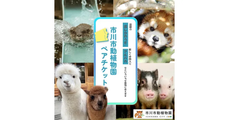 【ふるさと納税】市川市動植物園ペアチケット 体験 施設利用券 入場券 レジャー 動物 アニマル 千葉県 市川市 送料無料　【12203-0195】