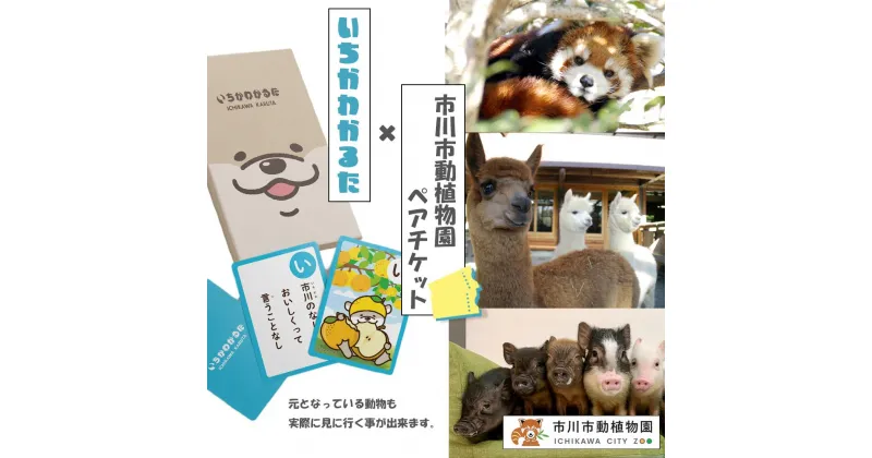 【ふるさと納税】いちかわかるた＆市川市動植物園ペアチケット 体験 施設利用券 入場券 レジャー 動物 アニマル ご当地 かるた 千葉県 市川市 送料無料　【12203-0196】