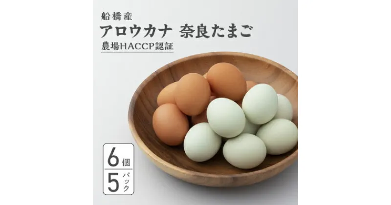 【ふるさと納税】生で食べて美味しい　アロウカナ　奈良たまご　30個セット　6個×5パック　幸せの青いたまご　奈良養鶏園　農場HACCP認証　船橋産　希少　卵　玉子　鶏卵　たまごかけご飯　TKG