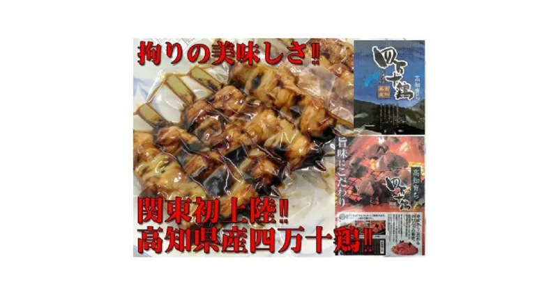 【ふるさと納税】四万十鶏・二種盛焼き鳥