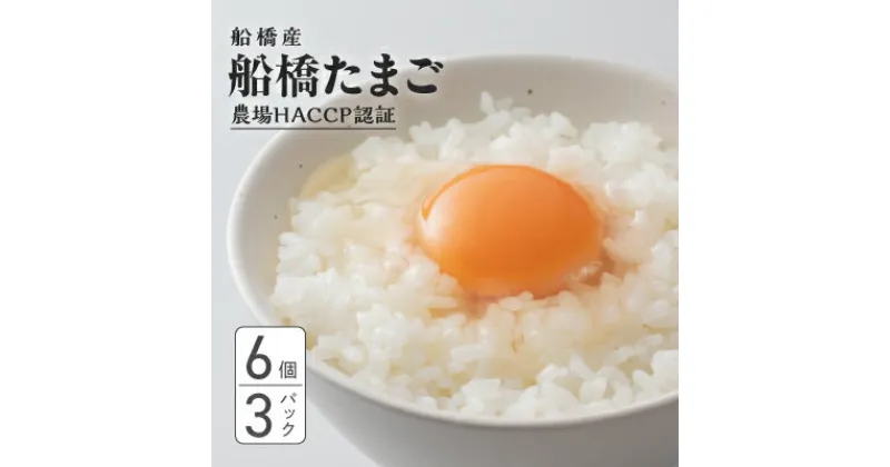 【ふるさと納税】生で食べて美味しい　船橋たまご　18個セット　6個×3パック　奈良養鶏園　農場HACCP認証　船橋産　卵　玉子　鶏卵　たまごかけご飯　TKG