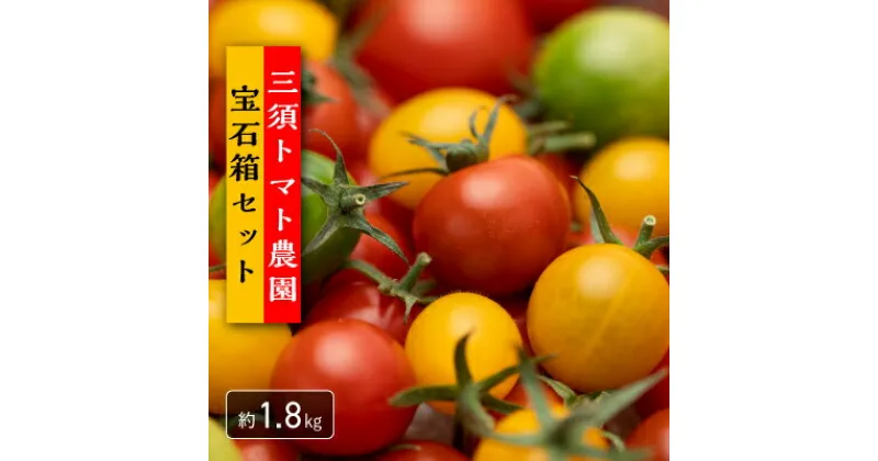 【ふるさと納税】【期間限定(発送可能時期は11月〜6月)】三須トマト農園　トマトの宝石箱　1.8kg　国産　※お届け日指定不可