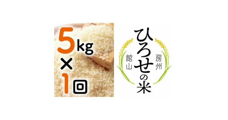 【ふるさと納税】【令和6年産】ひろせの米 館山市広瀬産こしひかり 精米 5kg【1483720】