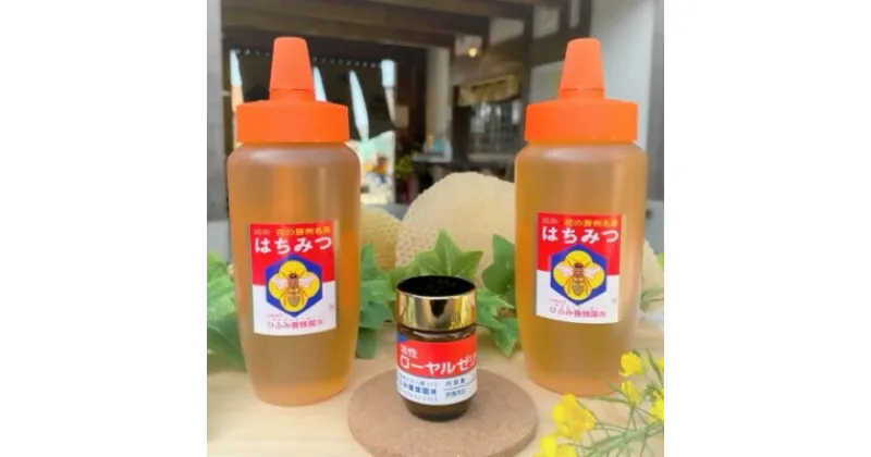 【ふるさと納税】ひふみ養蜂園 はちみつ(500g×2)・ローヤルゼリー(30g)【配送不可地域：離島】【1486517】