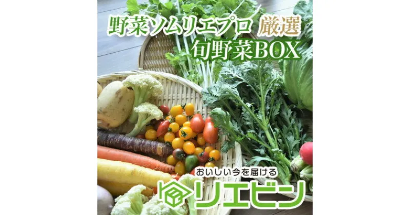 【ふるさと納税】野菜ソムリエプロ厳選!こだわりの旬野菜BOX「リエビン」季節の野菜セット【配送不可地域：離島・沖縄県】【1488314】