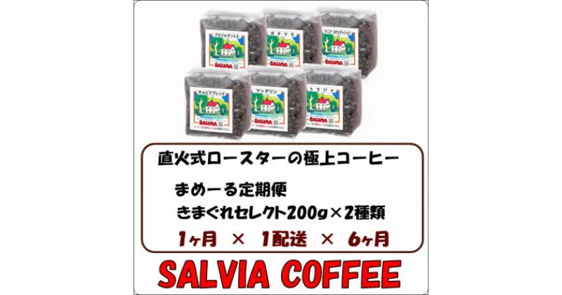 【ふるさと納税】【毎月定期便】まめーる店主のきまぐれセレクト200g×2袋【豆】全6回【4053867】