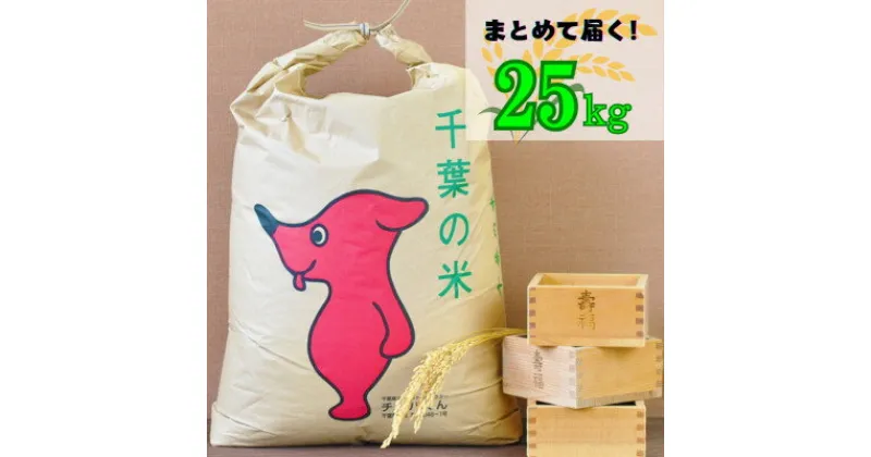 【ふるさと納税】【新米】吉田米屋イチオシ!白米25kg つやつや館山産コシヒカリ1等米【1521967】