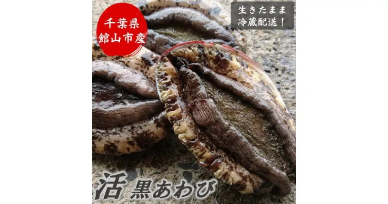 【ふるさと納税】【金曜日発送】漁師直送!天然活黒アワビ1kg(2～5枚)【配送不可地域：離島・北海道・沖縄県・東北・中国・四国・九州】【1532976】