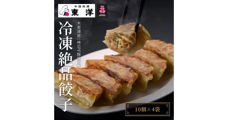 【ふるさと納税】【木更津産(林SPF豚使用)】冷凍絶品餃子(10個×4袋) ふるさと納税 餃子 千葉 木更津 送料無料 KR002