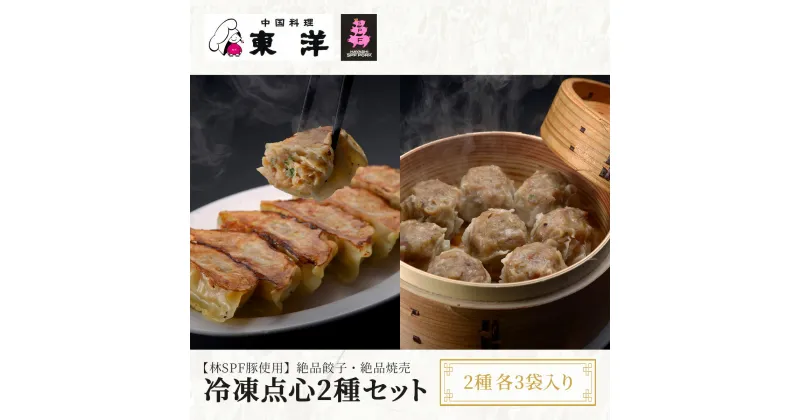 【ふるさと納税】冷凍点心2種セット(【林SPF豚使用】絶品餃子・絶品焼売) 2種各3袋入り ふるさと納税 餃子 シュウマイ 千葉 木更津 送料無料 KR007