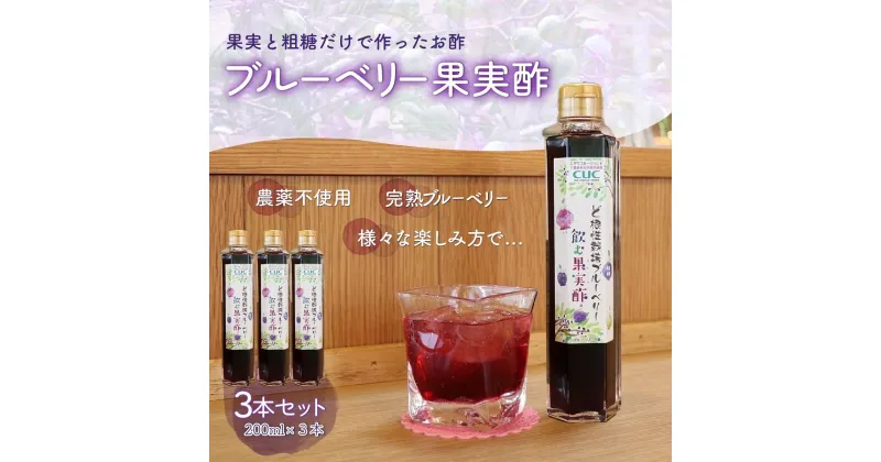 【ふるさと納税】＜果実と粗糖だけで作ったお酢＞飲むブルーベリー果実酢　3本セット ふるさと納税 ブルーベリー 千葉県 木更津 送料無料 KT004