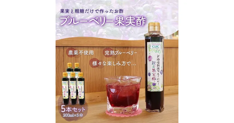 【ふるさと納税】＜果実と粗糖だけで作ったお酢＞飲むブルーベリー果実酢　5本セット ふるさと納税 ブルーベリー 千葉県 木更津 送料無料 KT005