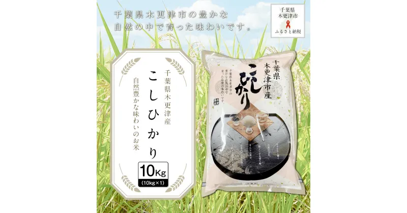 【ふるさと納税】【令和6年産新米】千葉県木更津産こしひかり10kg（10kg×1） ふるさと納税 米 10kg コシヒカリ 千葉県 木更津市 送料無料 KW001