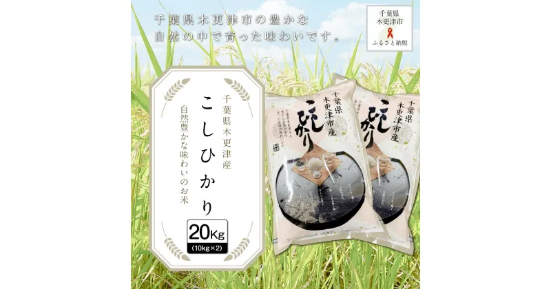 【ふるさと納税】【令和6年産新米】千葉県木更津産こしひかり20kg（10kg×2） ふるさと納税 米 20kg コシヒカリ 千葉県 木更津市 送料無料 KW003