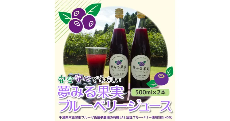 【ふるさと納税】＜有機栽培ブルーベリー使用＞夢みる果実ブルーベリージュース（果汁40％）500ml×2本 ふるさと納税 ブルーベリー ブルーベリージュース 千葉県 木更津市 送料無料 KAA001