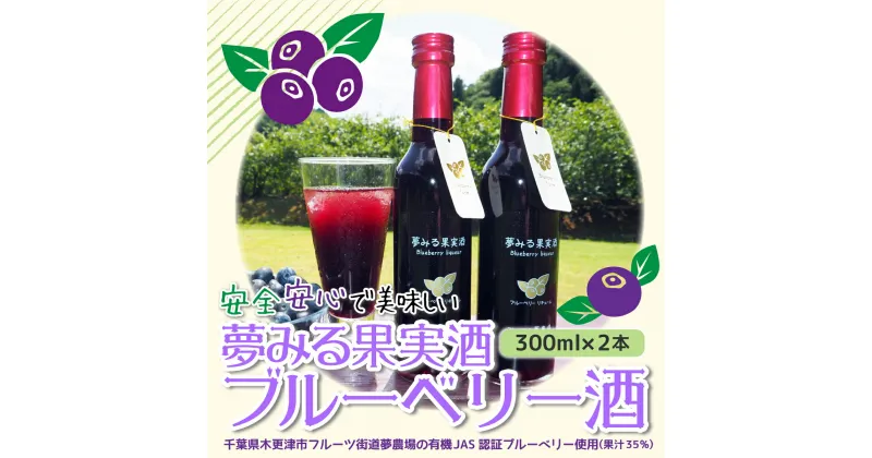 【ふるさと納税】＜有機栽培ブルーベリー使用＞夢みる果実ブルーベリー酒　300ml×2本 ふるさと納税 ブルーベリー 千葉県 木更津市 送料無料 KAA002