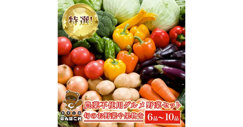 【ふるさと納税】特選！農薬不使用グルメ野菜セット【旬のお野菜や果物を6品～10品】＜農業公園ぽんぽこ村＞ ふるさと納税 野菜 野菜セット 千葉県 木更津 送料無料 KAT001