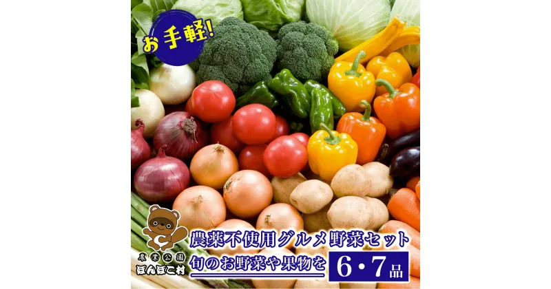 【ふるさと納税】お手軽！農薬不使用グルメ野菜セット【旬のお野菜や果物を6・7品】＜農業公園ぽんぽこ村＞ ふるさと納税 野菜 野菜セット 千葉県 木更津 送料無料 KAT002