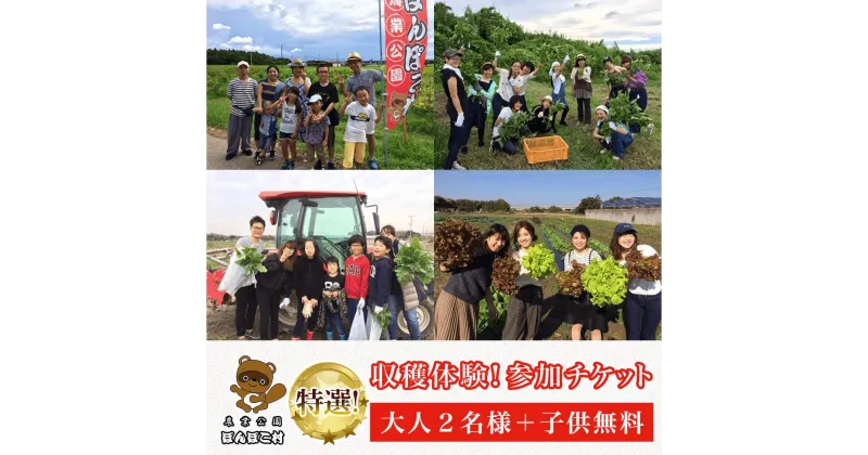 【ふるさと納税】＜農業公園ぽんぽこ村＞特選収穫体験！参加チケット（大人2名様＋子供無料） ふるさと納税 野菜 野菜セット 収穫体験 千葉県 木更津 送料無料 KAT003