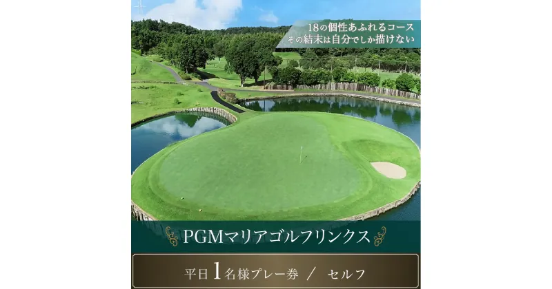 【ふるさと納税】PGMマリアゴルフリンクス 平日1名様プレー券（セルフ） ふるさと納税 ゴルフプレー券 ゴルフ ゴルフ場 プレー券 千葉県 木更津市 送料無料 KB005