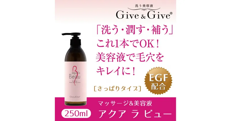 【ふるさと納税】Give＆Give マッサージ&オールインワン美容液【アクア ラ ビュー250ml】 ふるさと納税 美容液 千葉県 木更津 送料無料 KBA001