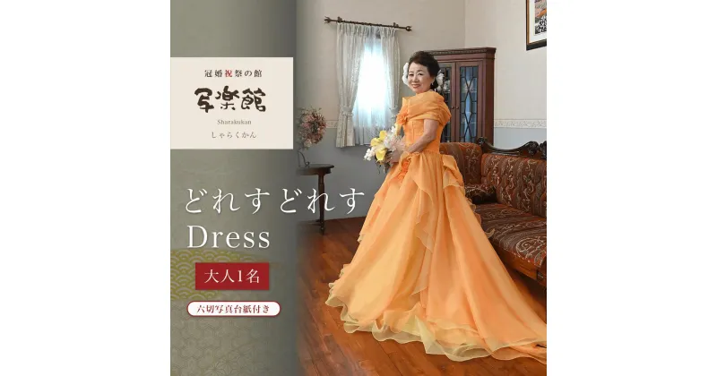 【ふるさと納税】どれすどれすDress（大人1名）六切写真台紙付き 千葉県 木更津市 送料無料 KBM003