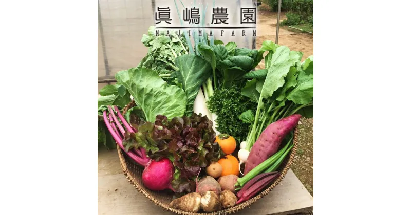 【ふるさと納税】季節 おまかせ 野菜 6品～8品 セット 詰め合わせ 眞嶋農園 沖縄及び離島へのお届けはできません