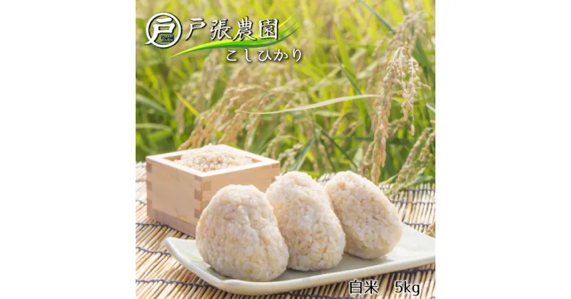 【ふるさと納税】米 こしひかり 白米 5kg 精米 農家 美味しい おすすめ 有機肥料 有機堆肥 戸張農園