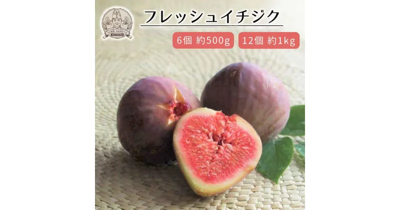 【ふるさと納税】イチジク 生 果実 ドーフィン 6個 約 500g 12個 約 1kg フルーツ 食物繊維 カリウム 美容 健康 ジャム コンポート 美味しい おすすめ 期間限定 新鮮 低カロリー さっぱり ファーム根本 高ポリフェノール 先行予約 2025年 8月 発送