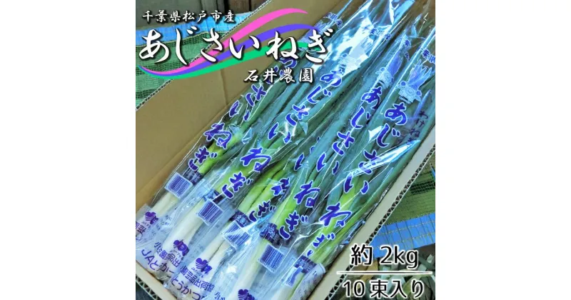 【ふるさと納税】石井さん家のあじさいねぎ 約2kg