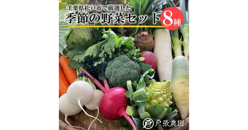 【ふるさと納税】野菜 厳選 おまかせ 野菜セット 8種 トマト 大根 キャベツ ナス とうもろこし キュウリ しいたけ ほうれん草 小松菜 ズッキーニ かぼちゃ さつまいも ブロッコリー 菜の花 福袋 セット 農家 旬 美味しい ネギ 枝豆 春 夏 秋 冬 オクラ いんげん ピーマン