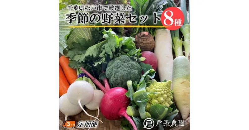 【ふるさと納税】野菜 定期便 3回 厳選 おまかせ 野菜セット 8種 トマト 大根 キャベツ ナス とうもろこし キュウリ しいたけ ほうれん草 小松菜 ズッキーニ かぼちゃ さつまいも ブロッコリー 菜の花 福袋 セット 農家 旬 美味しい ネギ 枝豆 春 夏 秋 冬 オクラ いんげん