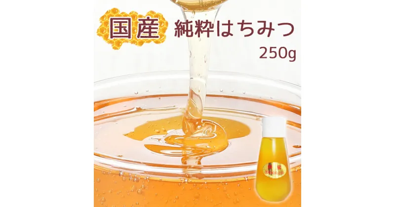 【ふるさと納税】【蕃昌みつばち倶楽部】国産純粋はちみつ　250g